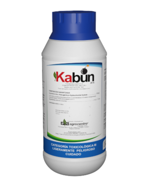 KABUM 20SL